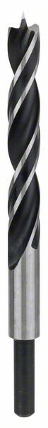 DRILL BRAD POINT WOOD BRIGHT 12MM 